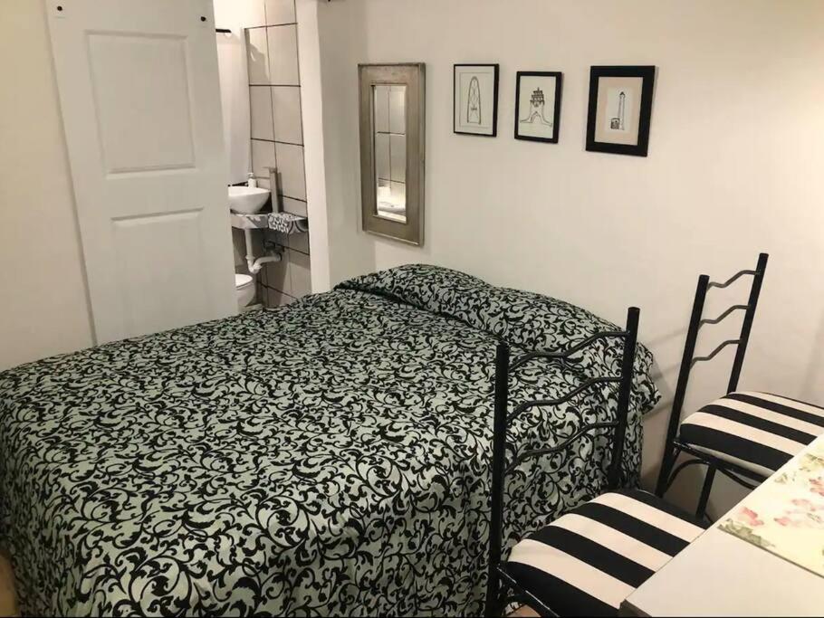 Zebra Studio Tijuana Luaran gambar