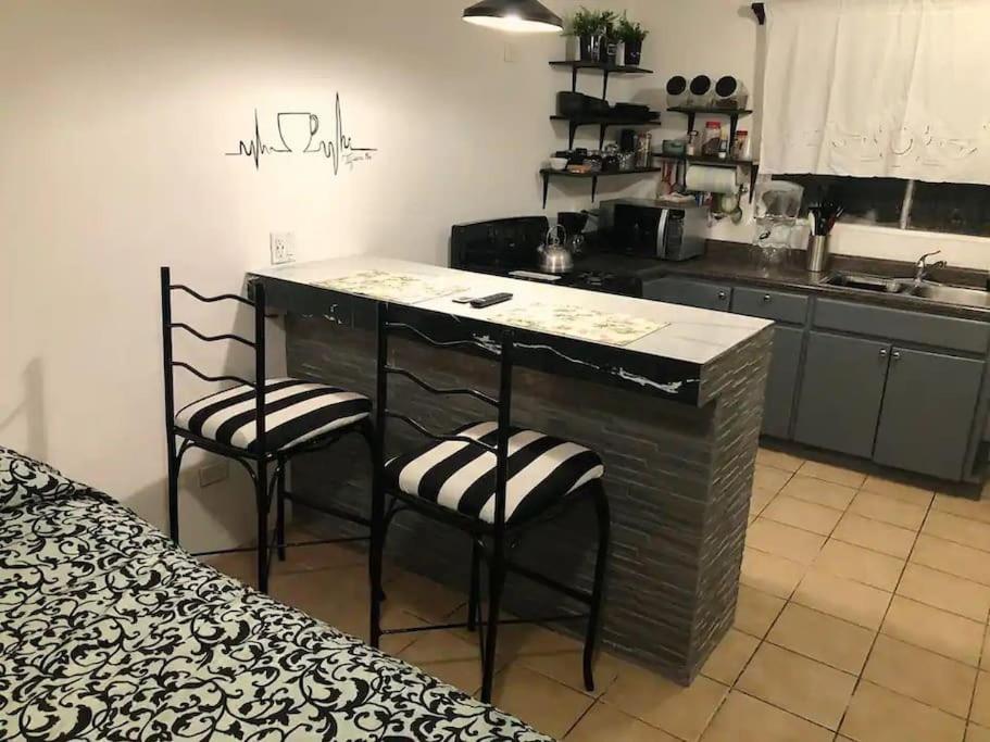 Zebra Studio Tijuana Luaran gambar