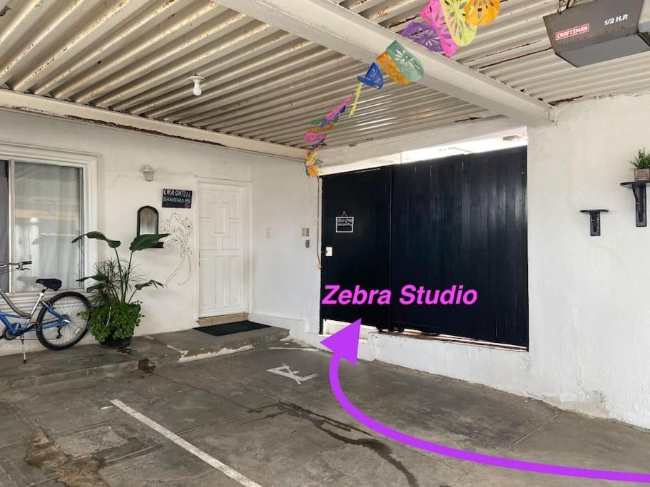 Zebra Studio Tijuana Luaran gambar