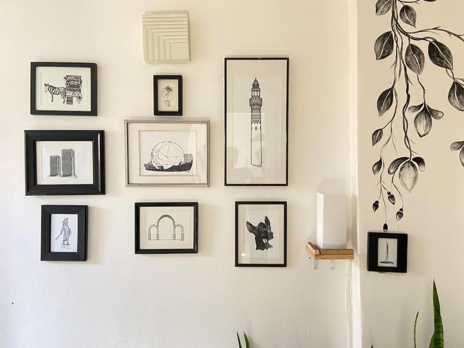Zebra Studio Tijuana Luaran gambar