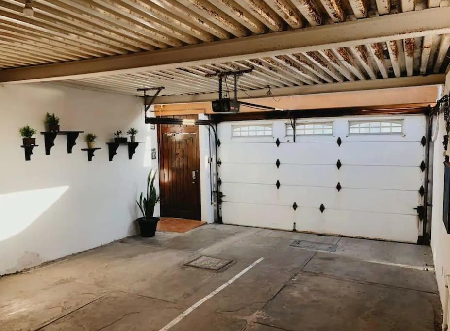 Zebra Studio Tijuana Luaran gambar